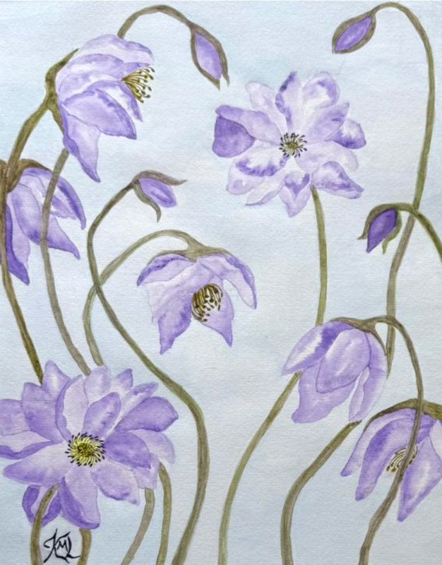 PAINTING WATERCOLOR 11X14 & WHITE MAT 16X20 ANEMONE BELL FLOWER LAVENDER PURPLE