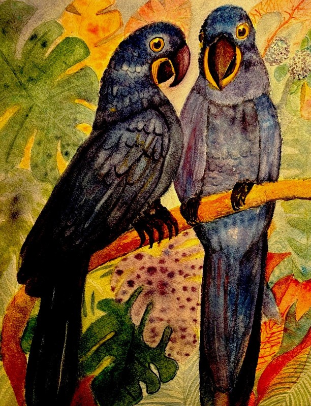 Original 10x13 Hyacinth Macaw Pair Tropical Bird Wall Beach Coastal Seaside Art gallery