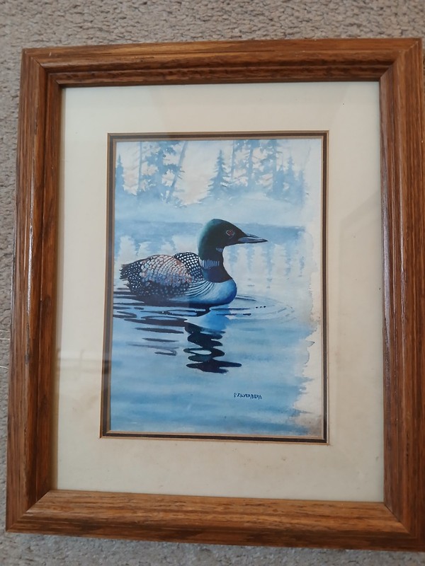 Patrick Zilverberg – Watercolor Loon Minnesota Artist Original Painting