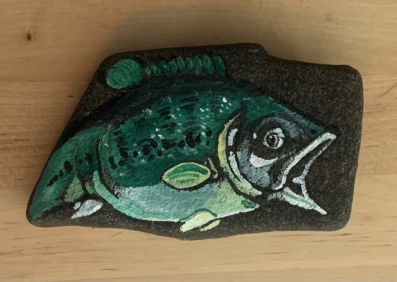 Hand painted river rock. Largemouth Bass MMS 2026