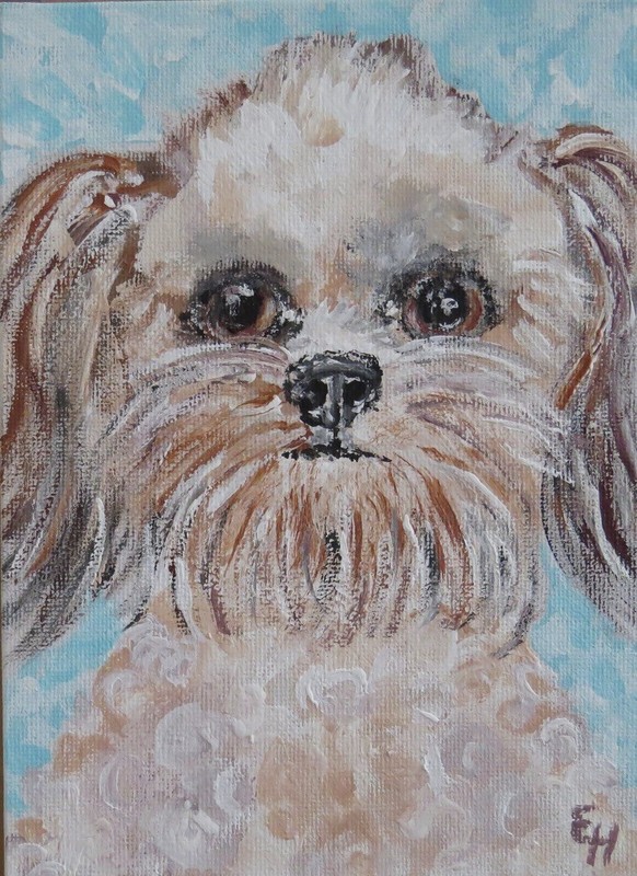 Shih Tzu Portrait Dog Face Animal Painting Impressionism Art Original Ericajaye