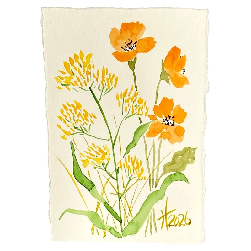 Wildflowers10 Original Art Floral Watercolor Painting 4x6in Tristina Dietz Elmes