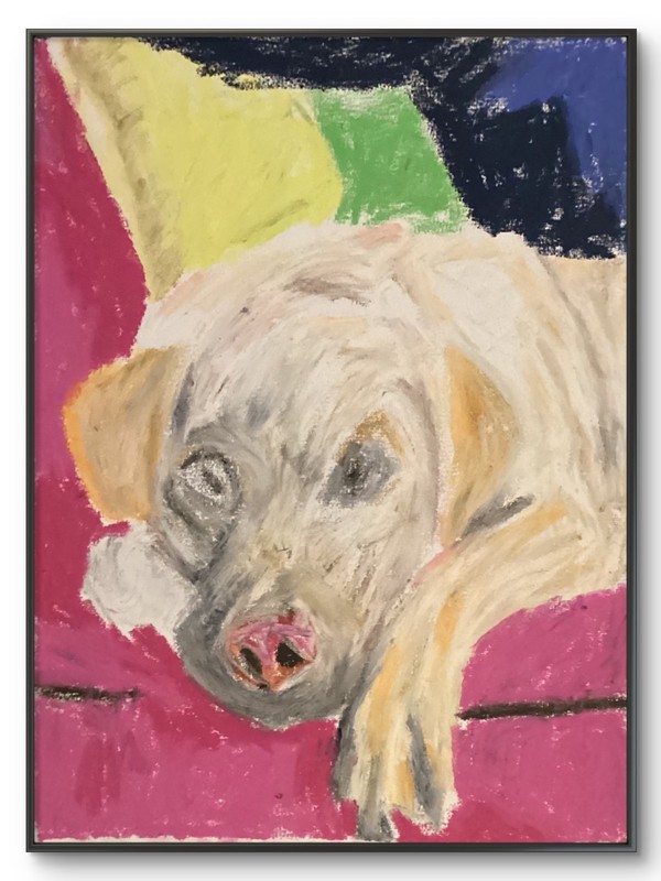 One of a Kind 11 by 14 Canvas Abstract Modern Cartoon Pet Portrait Lab Dog