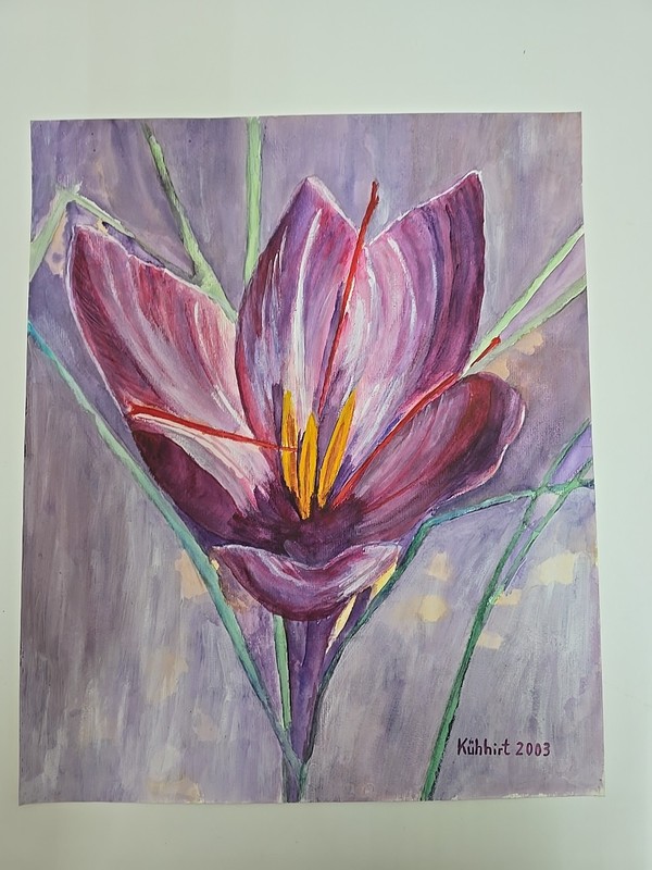 Watercolour Painting on Cardboard Flower 2-Size 60cmx50cm by KÜHHIRT 2001-No Frame