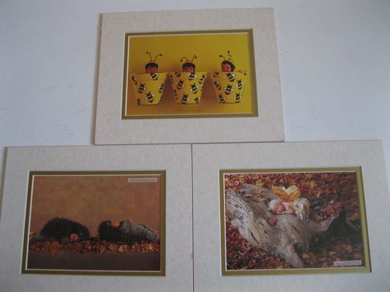 Three (3) Anne Geddes Artwork in 8″ x 10″ Paper Frames
