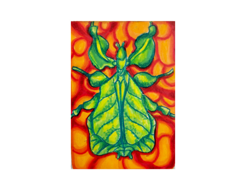 ACEO mini art, Signed Marker/colored pencil Leaf Insect