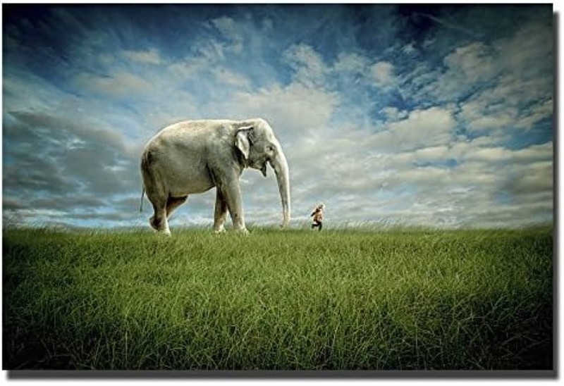 Elephant Follow Me by Madison Gallery-Wrapped Canvas Giclee Art (16 in x 24 in)