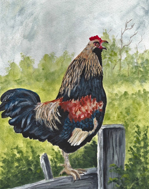 Rainbow Rooster original acrylic painting on watercolor paper