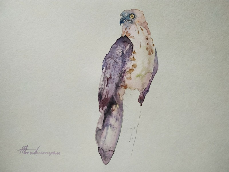 Eagle, Birds, Watercolor artwork, Handmade, Original painting on paper