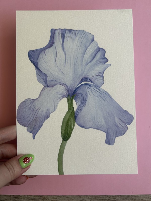 Art Print Sawyer Crane 5 x 7 Purple Lilac Iris Floral Flower Watercolor Painting