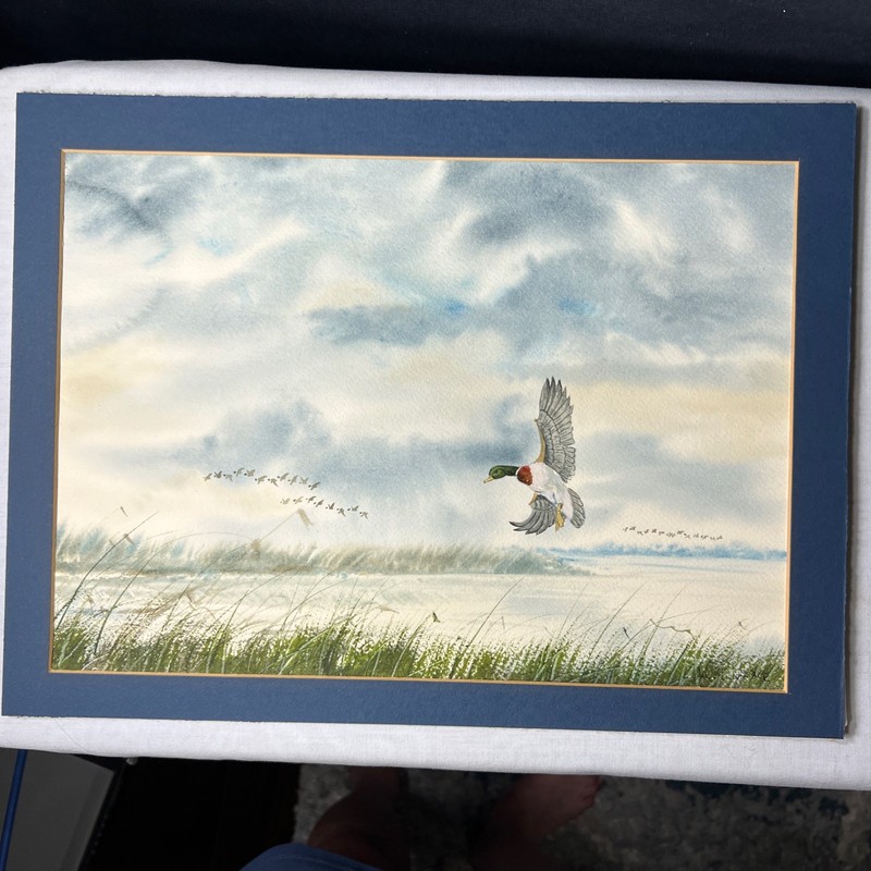 W.M. Weber Signed Watercolor Painting Of Mallard Duck Marsh Landing gallery