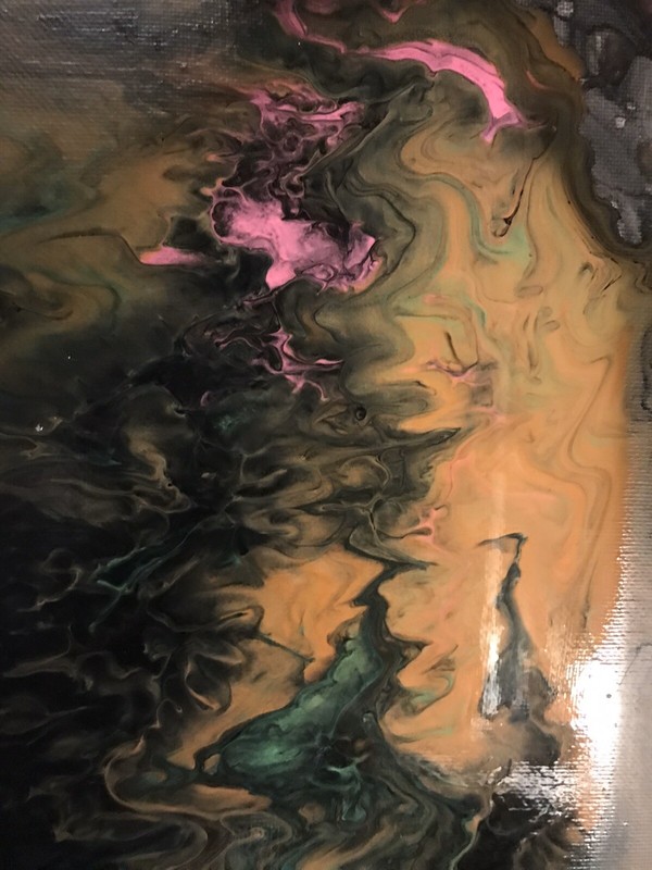 Cosmos gallery