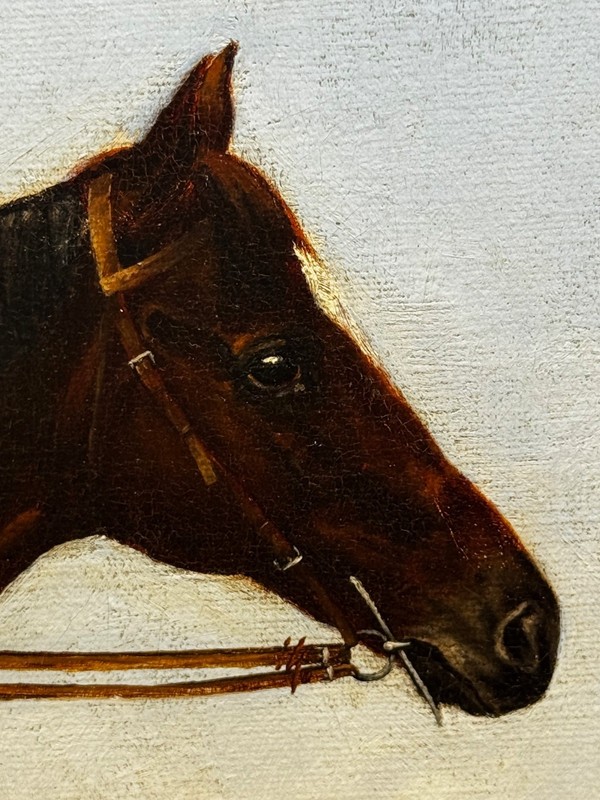 Master Walter Winner Governor’s Cup Colombo Races c1894 in the Manner Harry Hall gallery