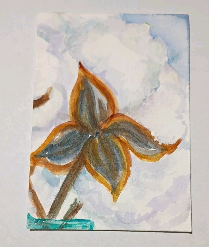 Original Cotton Bolls ACEO watercolor painting gallery