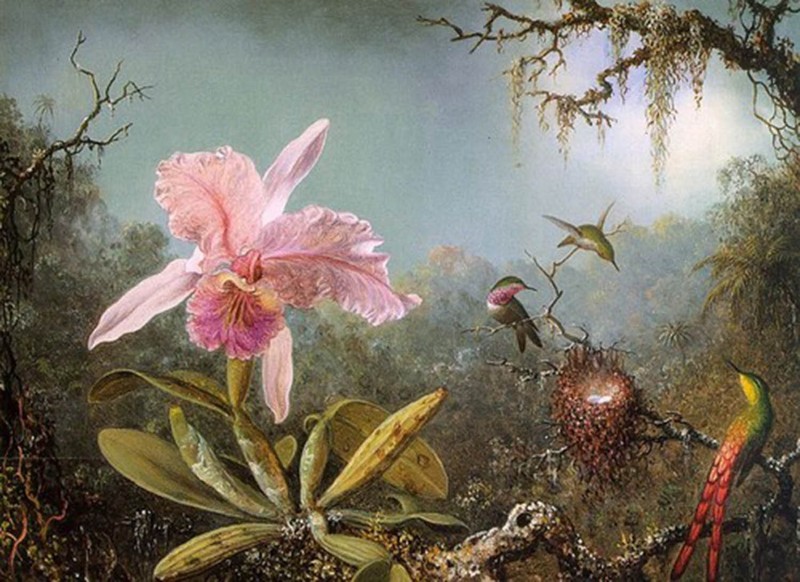 stunning oil painting handpainted on canvas «birds and flowers»