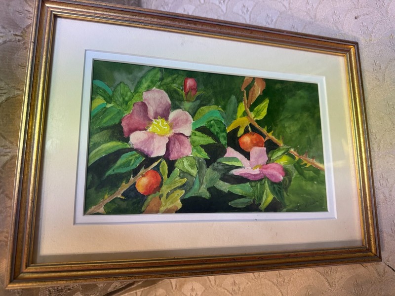 I Linder? «A Botanical And Floral Scene» Watercolor Painting – Signed And Framed
