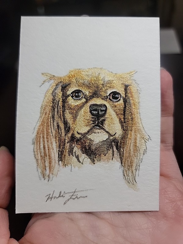 ACEO Original Watercolor Painting 2.5″ x 3.5″ Spaniel Puppy Dog Pet Portrait