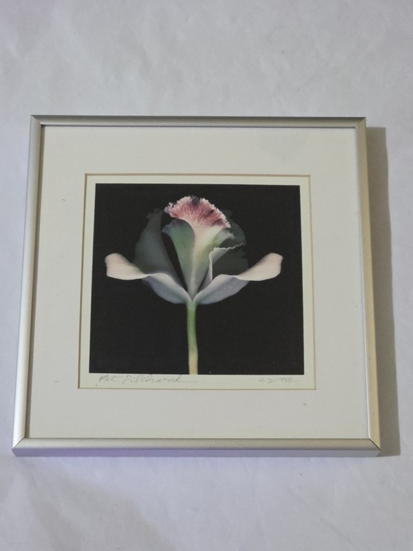 Pat Pilchard Art Flower Print Manipulated Photo 10x10 Photography gallery