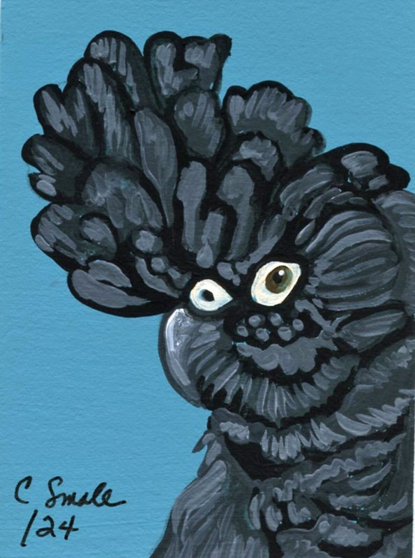 ACEO ATC Original Painting Black Cockatoo Parrot Bird Pet Art-C. Smale