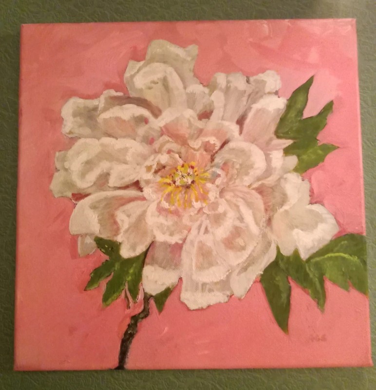 Original Oil Painting White Peony Flower Coral Pink 12×12″ Square Canvas Signed