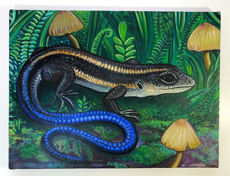 “Blue Tailed Skink” Original Gouache Painting 12 X 16 inches on Stretched Canvas