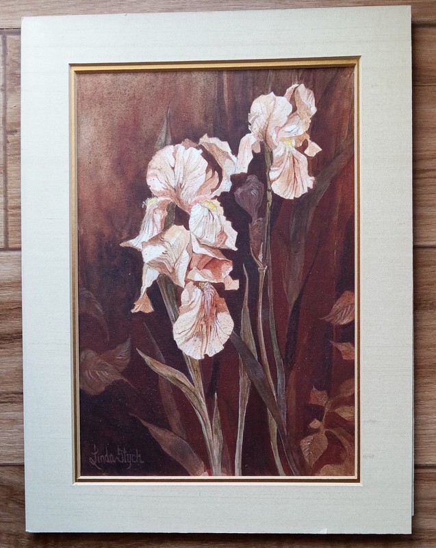 Hand Painted NEBRASKA Watercolor OOAK ONE OF A KIND FLOWERS FLORAL Signed STYCH
