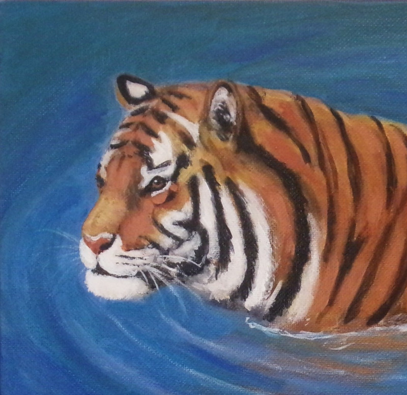 Tiger Original Painting 8x10 Big Cat Wildlife Animal Modern Wall Art gallery