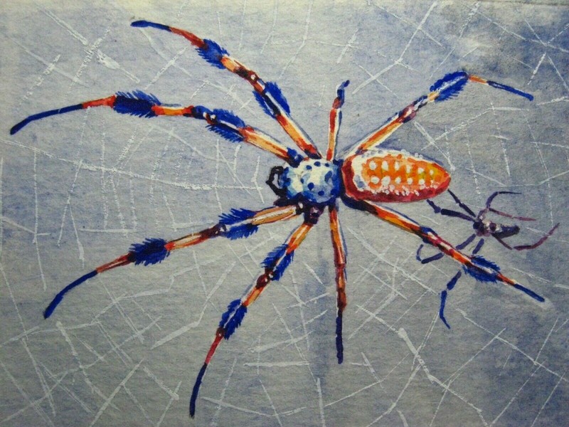 Watercolor Painting Spider Web Spiderweb Insect Nature Insect ACEO Art .