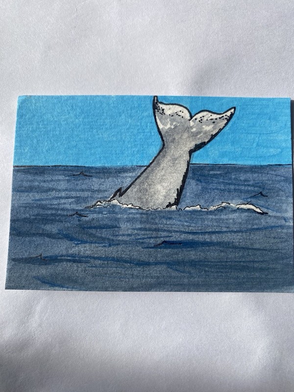 Aceo Hand Painted 2.5×3.5 Whale Acrylic Micron Pen Signed New Art Trading Card
