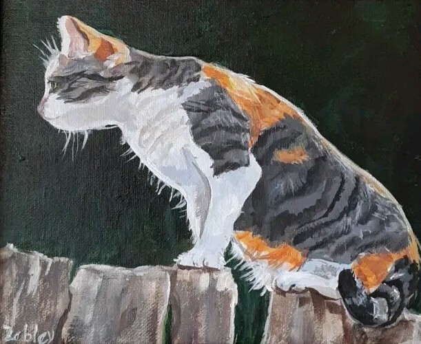 Cat Oil Painting Original Calico, 8×10, American Artist Robin Zebley rzzart