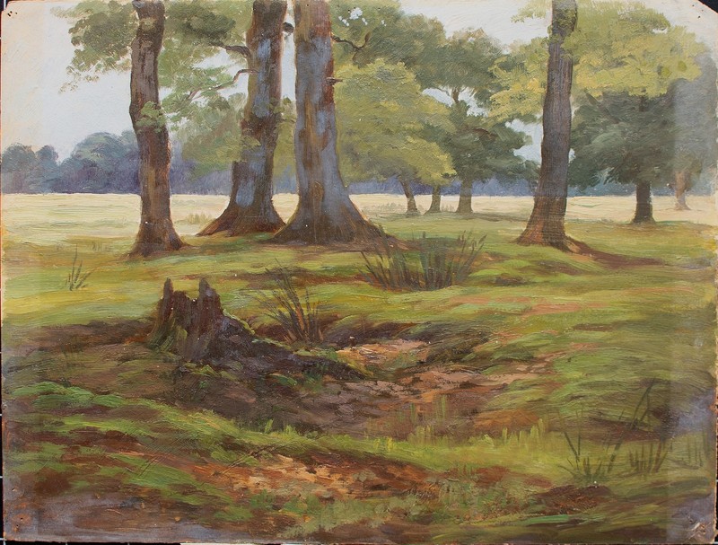 Forest Landscape Trees Oil on Paper Unknown Early 20th Century gallery