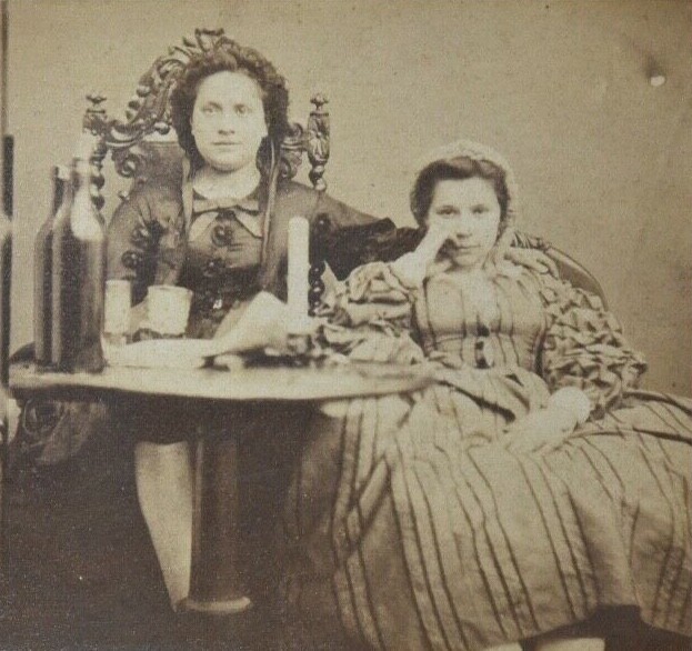 Stereo Albumin View on Cardboard, Interior Scene, Two Women Posing, circa 1870 gallery