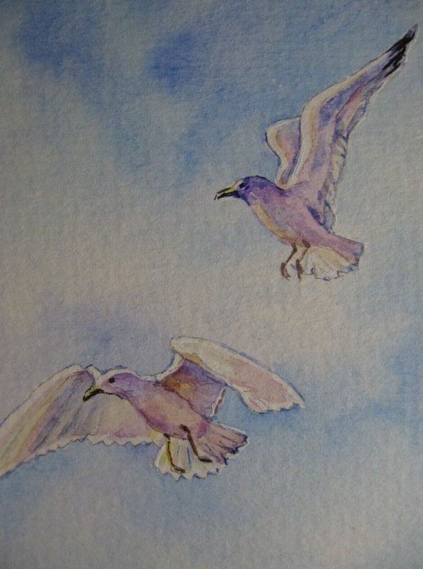 Watercolor Painting Seagulls Ocean Birds Nature ACEO Art