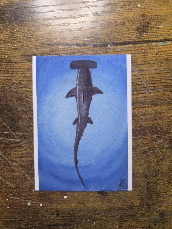 ACEO *Art Print «Hammerhead» Original Watercolor by El Duderino