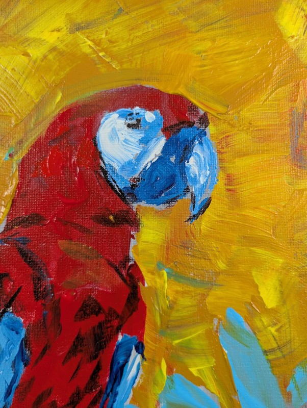 Scarlet Macaw Parrot 11x14 Painting Fauvist Tropical Red Yellow Canvas SWhite gallery