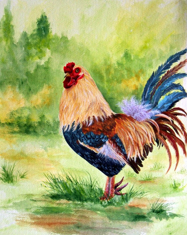 Colorful Rooster original watercolor painting on watercolor paper