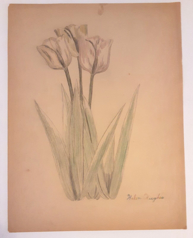 Tulips By Helen Jean Hughes Vintage 1940s Drawing Quincy Illinois Artist