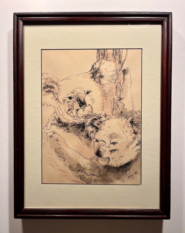 1974 Original Watercolor & Ink Australian Koala Bears Signed & Framed Painting