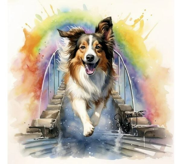 Watercolor Collie Pet Memorial Painting Art Print INCLUDES 11X14 MATTING