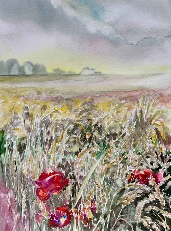 Original watercolor painting «Field with poppies», 42х58 by I. Tarasova
