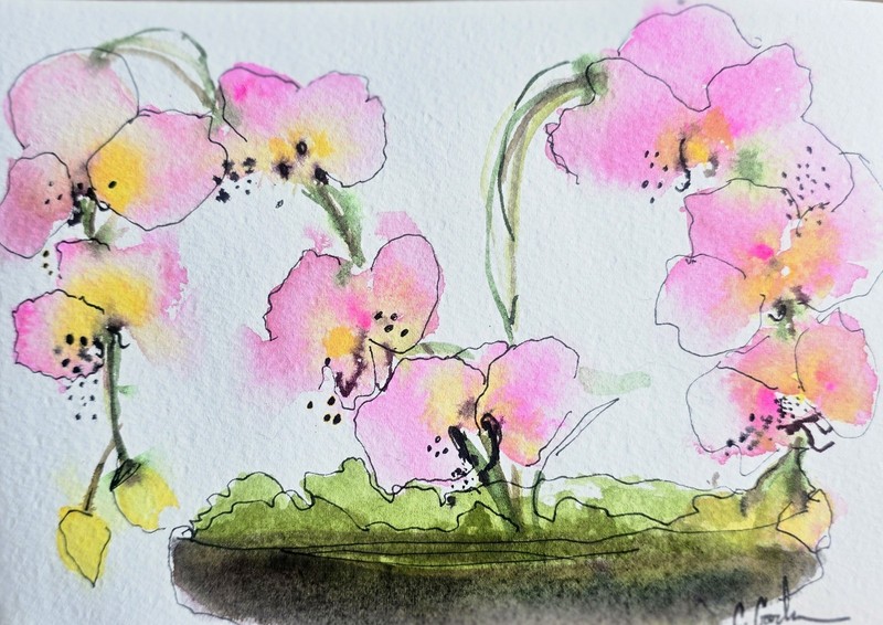 Original Signed Watercolor Painting. Floral. Line and Wash. Orchids. Gift