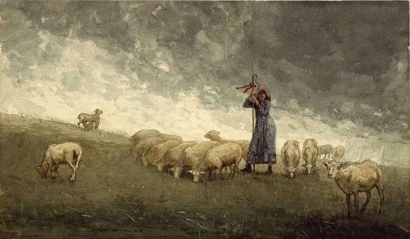Ｏｉｌ　ｐａｉｎｔｉｎｇ Brooklyn_Museum Shepherdess Tending Sheep Winslow Homer landscape
