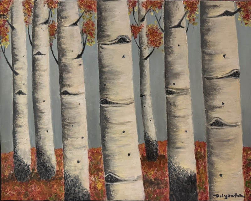 «White Birch Trees» original oil on canvas (20″x16″)