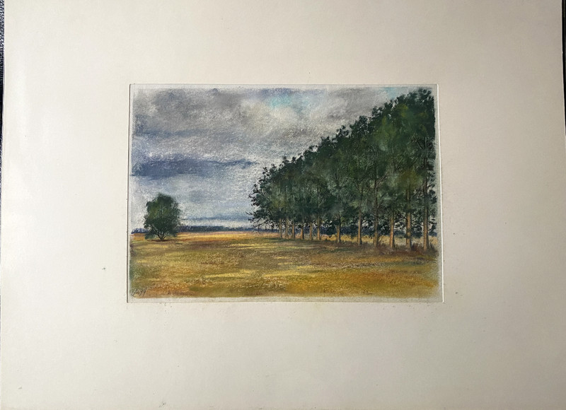 ::FRANZ EHMKE*1928-2018 GDR PAINTER TREES IN LANDSCAPE BRANDENBURG MEADOW FIELDS
