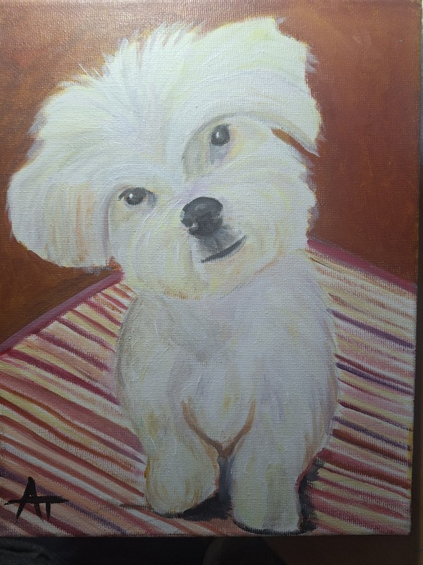 Original Maltese Dog 8x10 Scretched Canvas Painting gallery