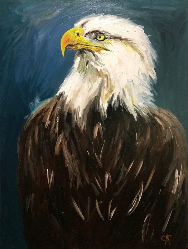 Original Oil Painting Canvas Wall Art Contemporary Bald Eagle Bird Eye Animal US