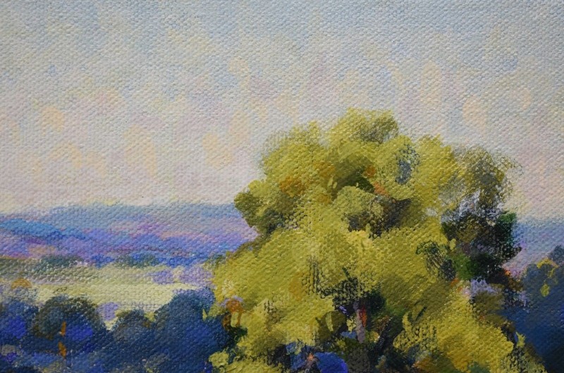 Original Landscape Painting Scott Brems Bluebonnets Texas Fine Art Framed 14x14 gallery