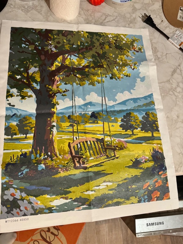 Completed outdoor mountain swing by number. No frame included 🩷🎨🖌️