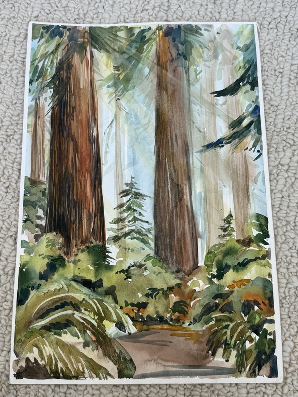 DOUBLE SIDED 1990 WATERCOLOR PAINTING REDWOOD FOREST JEDIDIAH SMITH STATE PARK