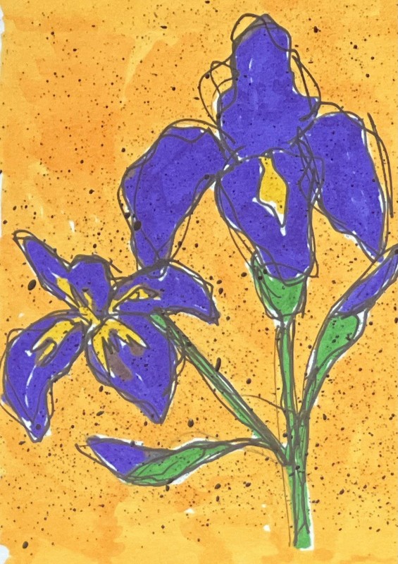 Tennessee State Flower Iris